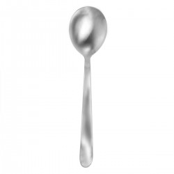 STAINLESS STEEL SERVING SPOON