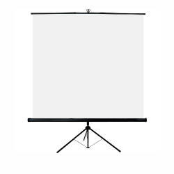 PROJECTION SCREEN
