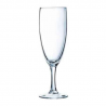 REGANI GLASS COLLECTION