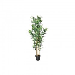 PACK MOBILIER BASIC