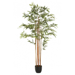PACK MOBILIER ZEN